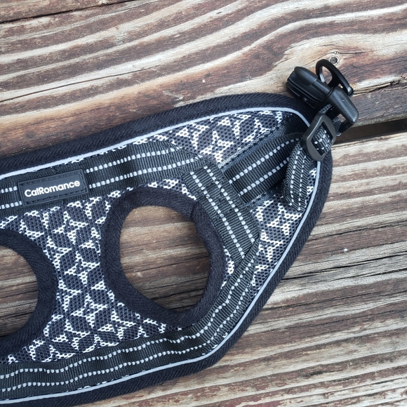 CatRomance Black and Silver Kitten Harness and Leash - Picture 11 of 14